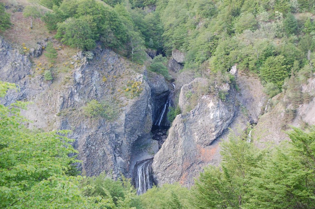 Hotel Des Cevennes Mezilhac Dış mekan fotoğraf